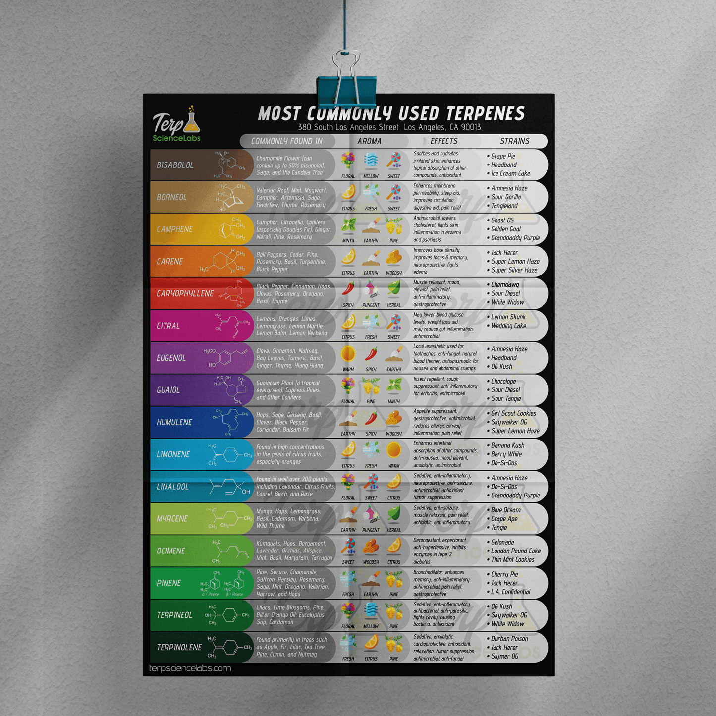 Common Terpenes Poster