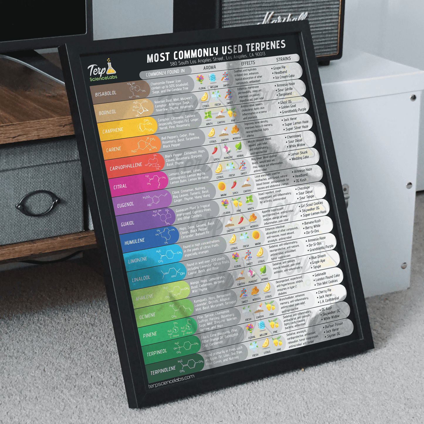 Common Terpenes Poster