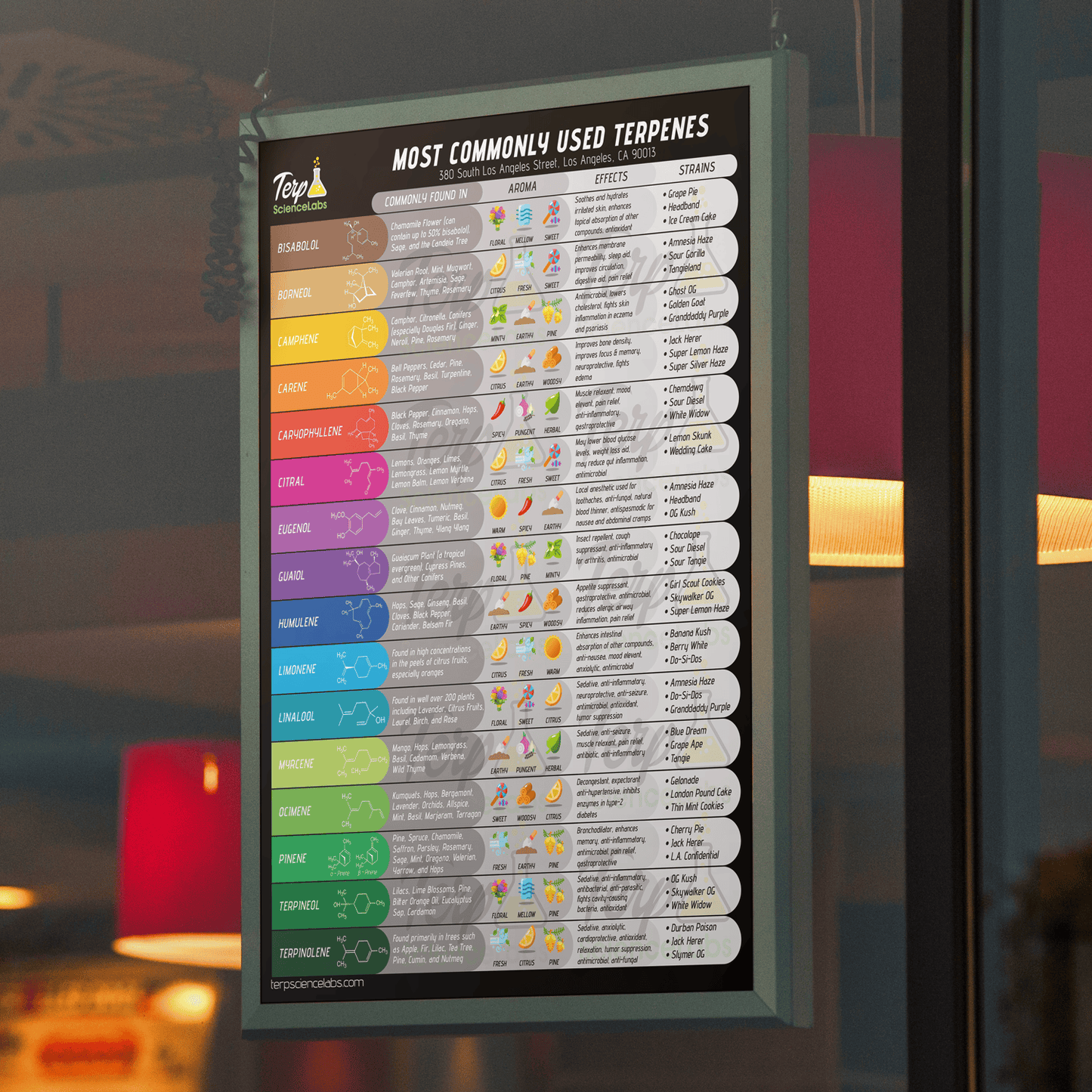 Common Terpenes Poster