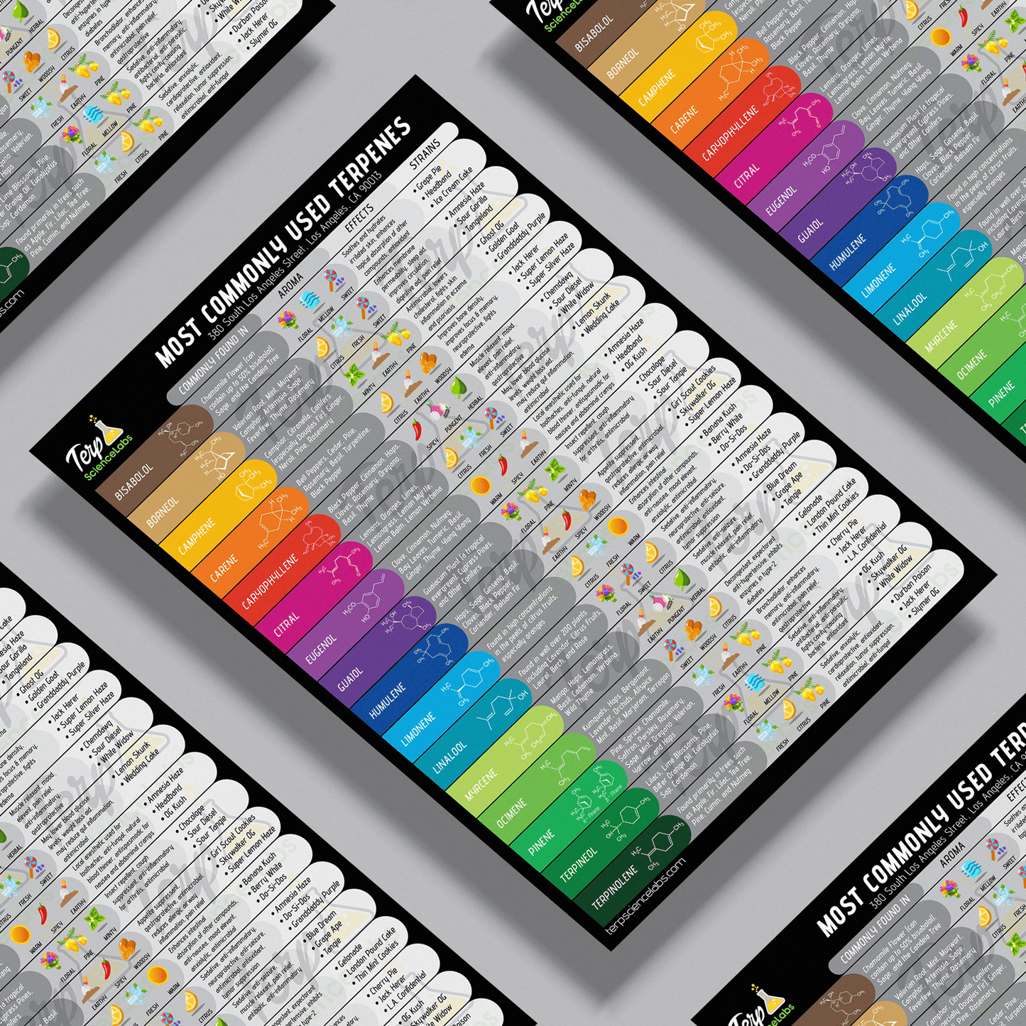 Common Terpenes Poster