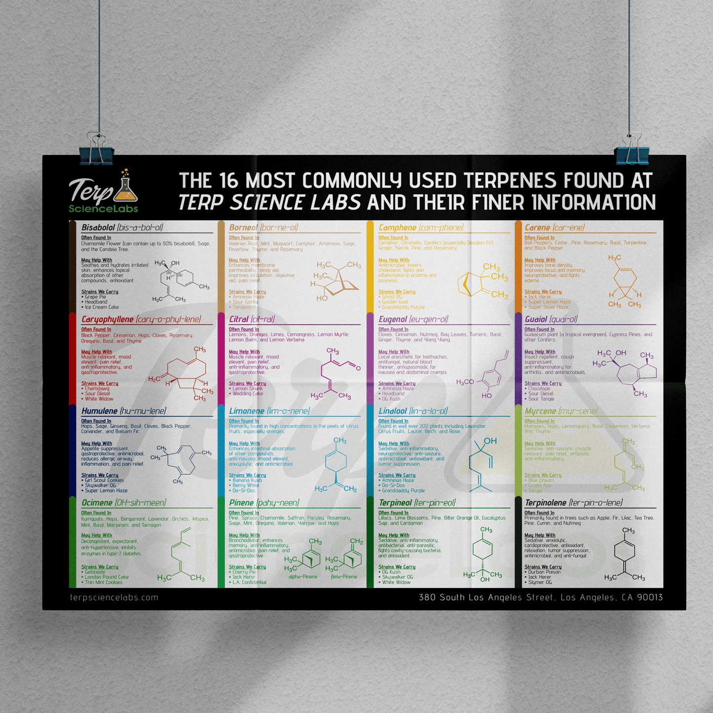 16 Common Terpenes Poster