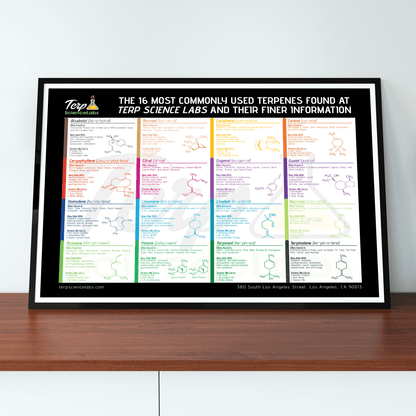 16 Common Terpenes Poster