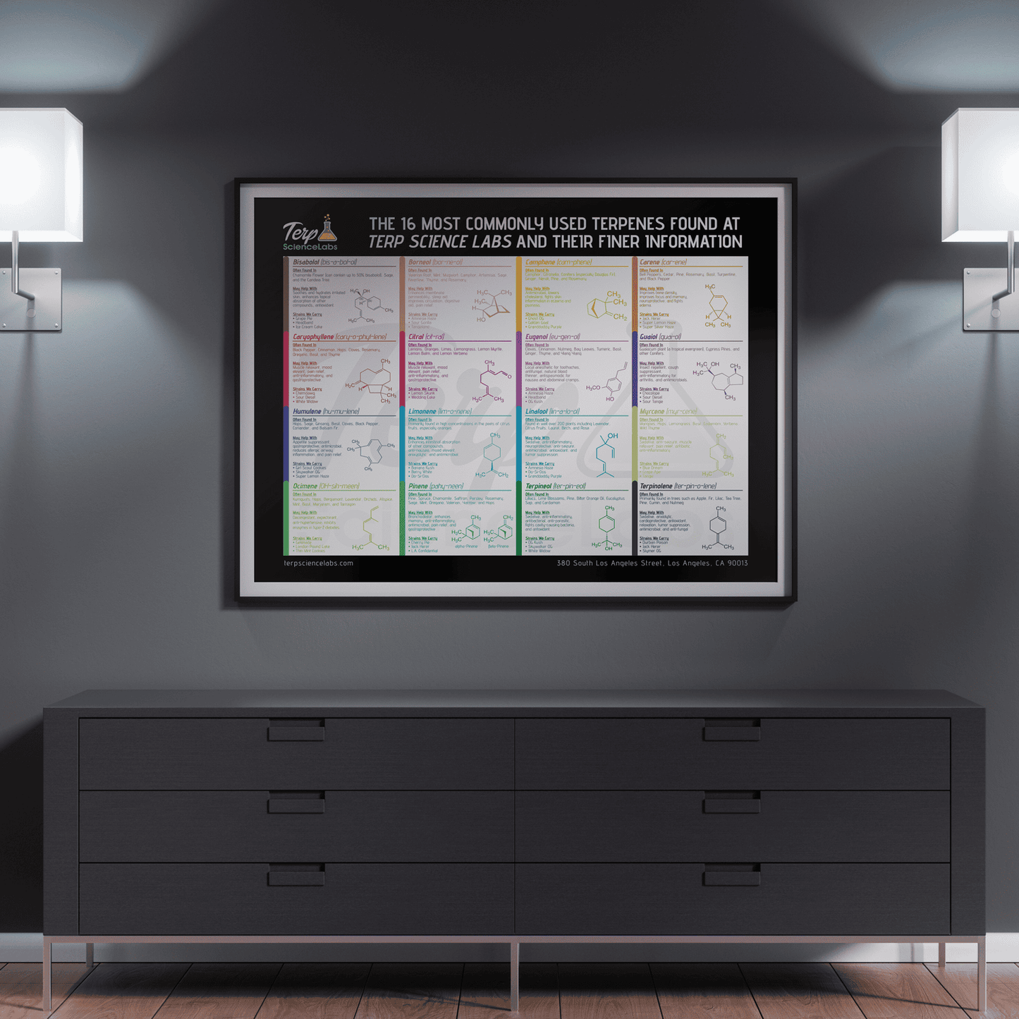 16 Common Terpenes Poster