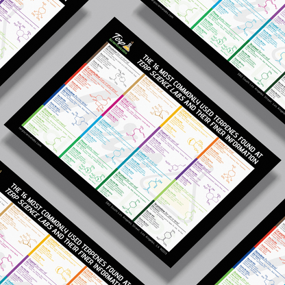 16 Common Terpenes Poster