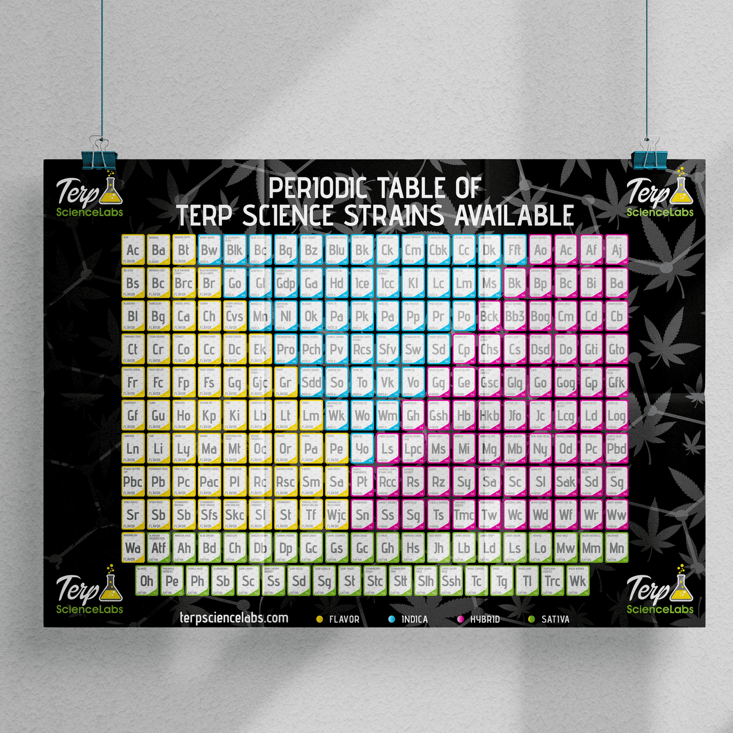 Periodic Table Of Terpenes (Black)