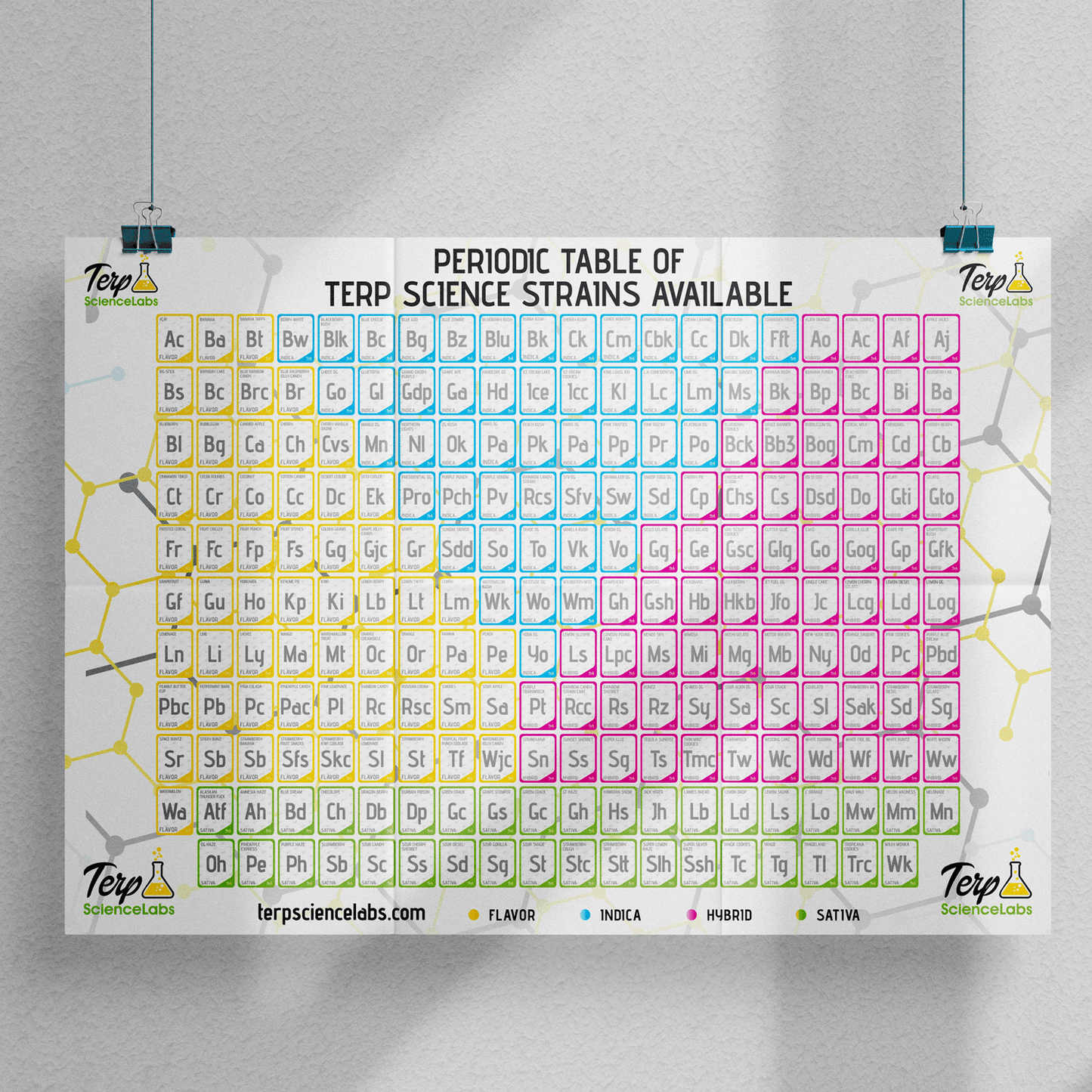 Periodic Table Of Terpenes (White)