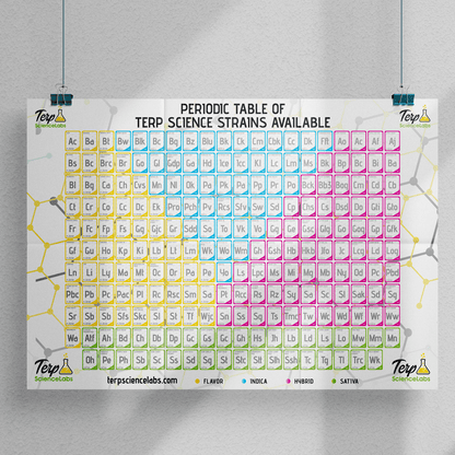 Periodic Table Of Terpenes (White)