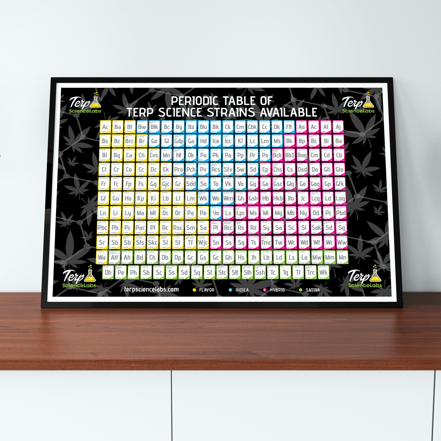 Periodic Table Of Terpenes (Black)