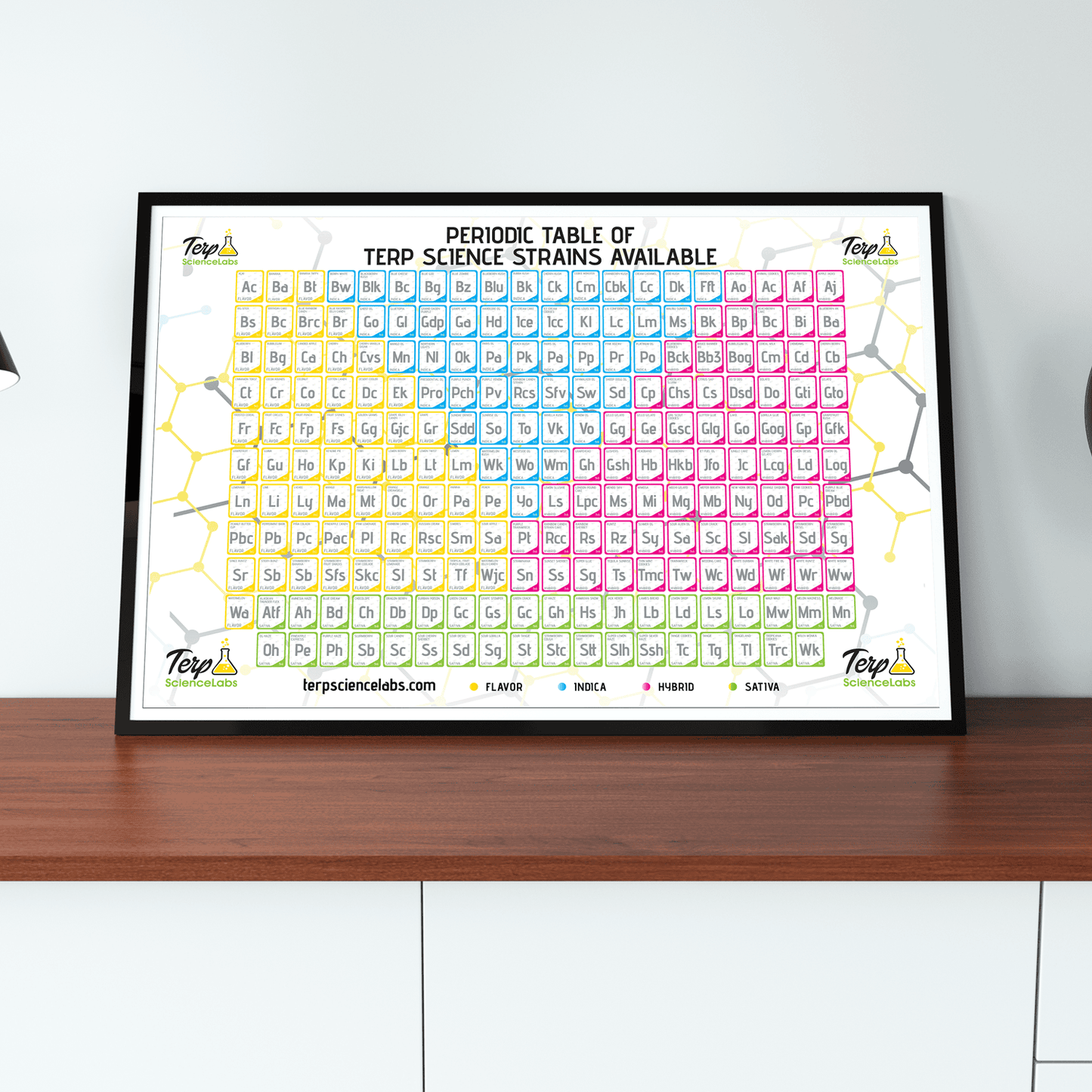 Periodic Table Of Terpenes (White)