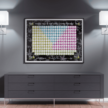 Periodic Table Of Terpenes (Black)