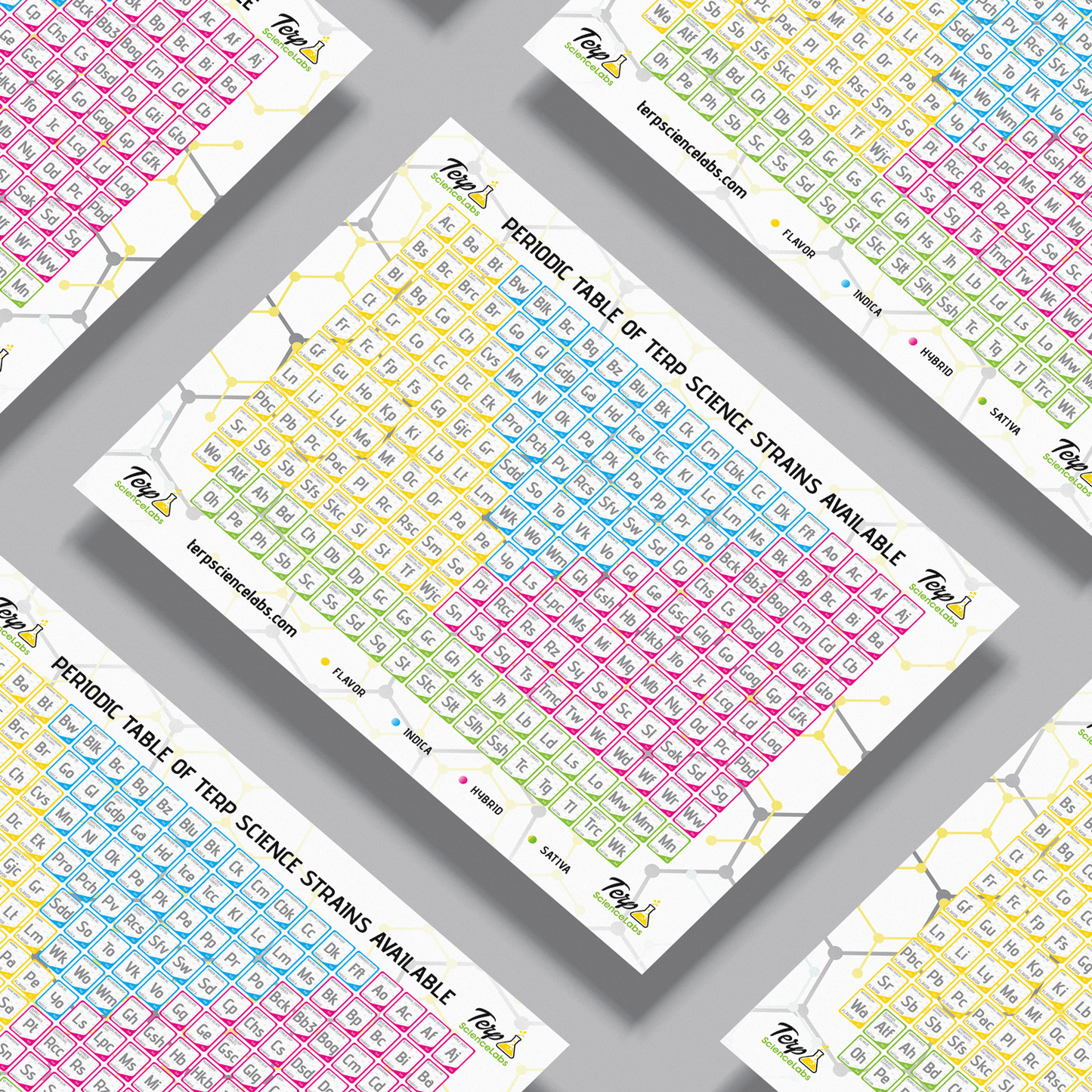 Periodic Table Of Terpenes (White)