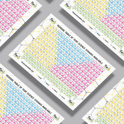 Periodic Table Of Terpenes (White)