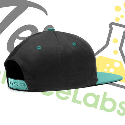 Terp Science Labs Snapback (Flat Brim) Black/Turquoise